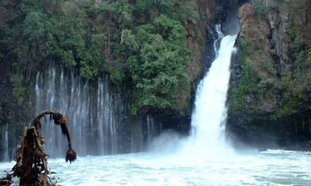 Conoce el Parque Barranca de Cupatitzio, en Uruapan, Michoacán