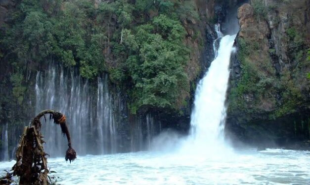 Conoce el Parque Barranca de Cupatitzio, en Uruapan, Michoacán