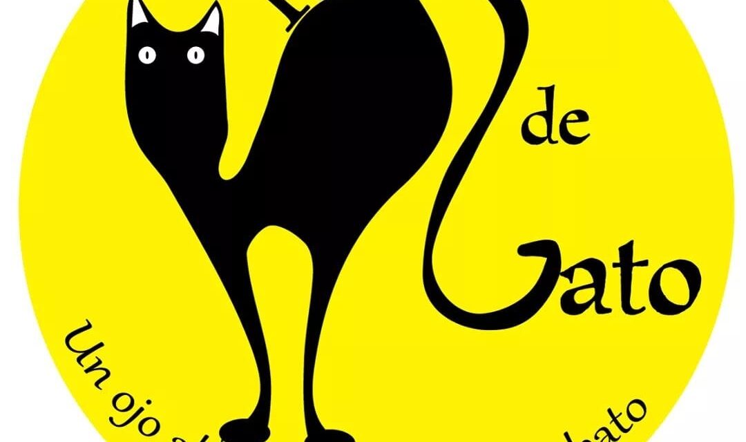 <strong>La compañía Pelo de Gato “Un ojo al gato y otro al garabato” busca llevar teatro comunitario a todo Oaxaca</strong>