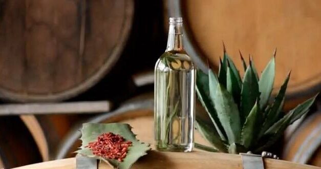  El mezcal, un regalo de los dioses