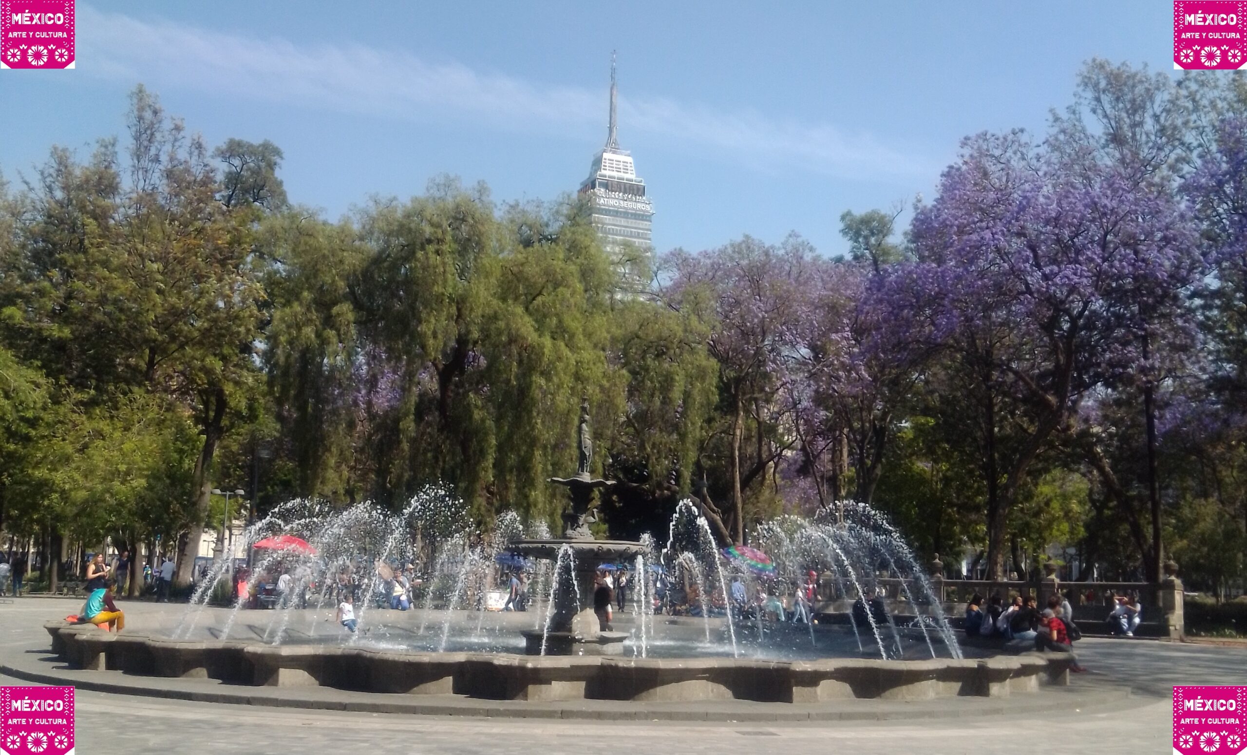 Jacarandas en la Ciudad de México
