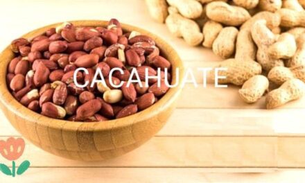 El Cacahuate…