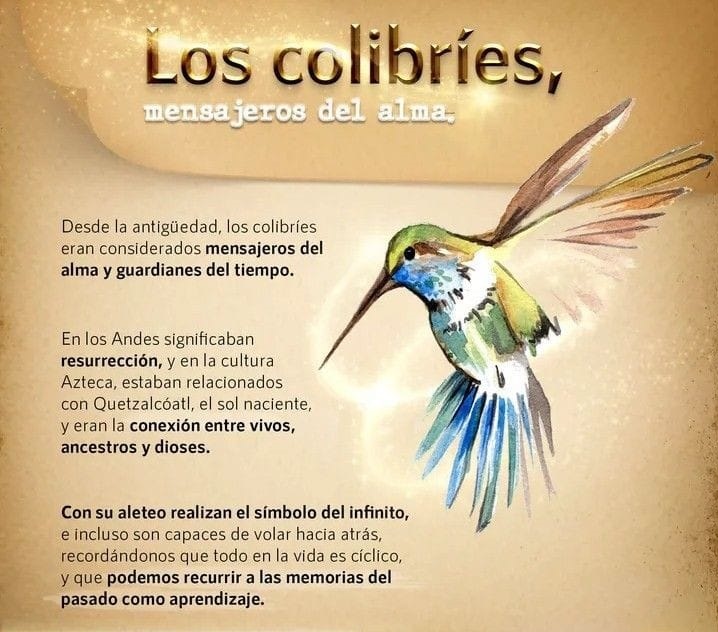 Colibries mensajeros del alma…