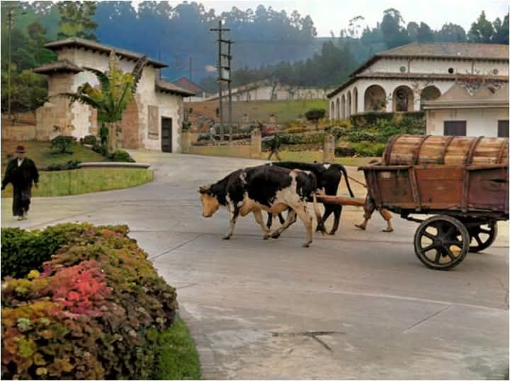 Foto antigua coloreada de Transporte de sal líquida