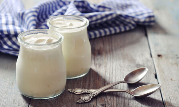 BENEFICIOS Y PROPIEDADES DEL YOGURT