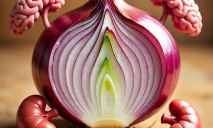 El Poder que desconoces de la Cebolla