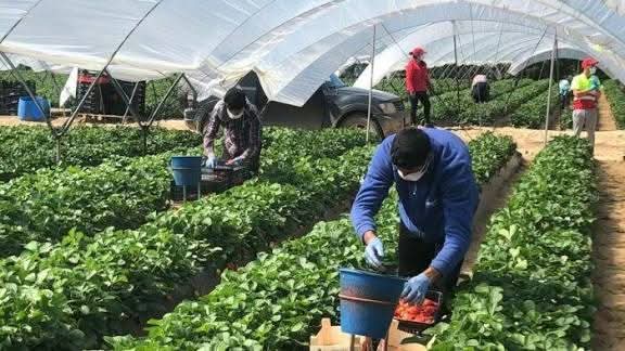 El papel de los agricultores