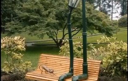 Arte en los parques