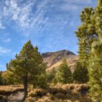 ​El Parque Nacional La Malinche, ofrece rutas de senderismo y camping entre bosques de coníferas