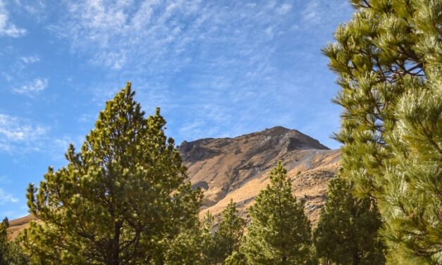 ​El Parque Nacional La Malinche, ofrece rutas de senderismo y camping entre bosques de coníferas