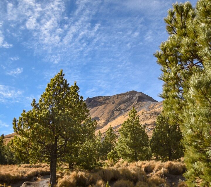 ​El Parque Nacional La Malinche, ofrece rutas de senderismo y camping entre bosques de coníferas