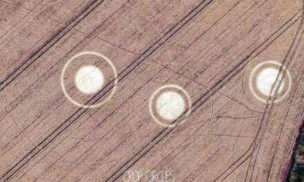 interpretación de las nuevas apariciones de los crop circles
