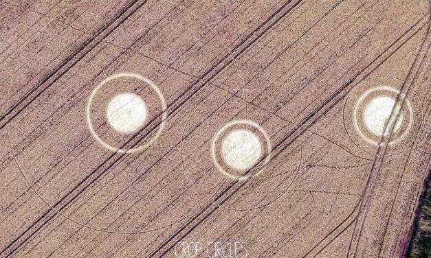 interpretación de las nuevas apariciones de los crop circles
