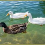 Disfruta de la naturaleza
