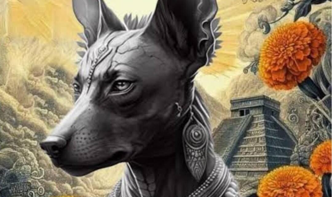 Almas abuelas de los Xolos
