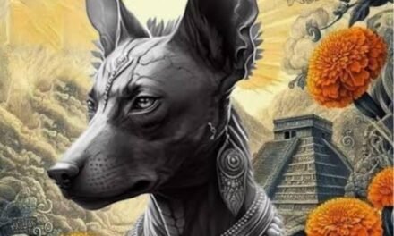 Almas abuelas de los Xolos